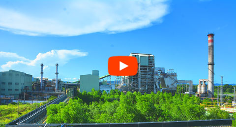 Phú Yên hòa vào lưới điện quốc gia Nhà máy điện sinh khối KCP (Báo Nhân Dân)