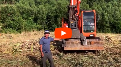 Giải pháp mới cho máy gắp mía để gắp lên xe mà không có đất đá và cát